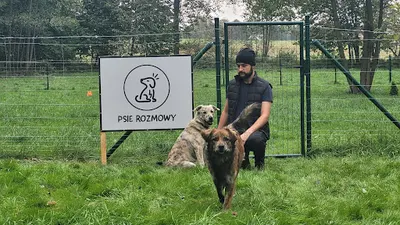Psie Rozmowy | Szkolenia i konsultacje behawioralne - Trener Kamil Pyszniak